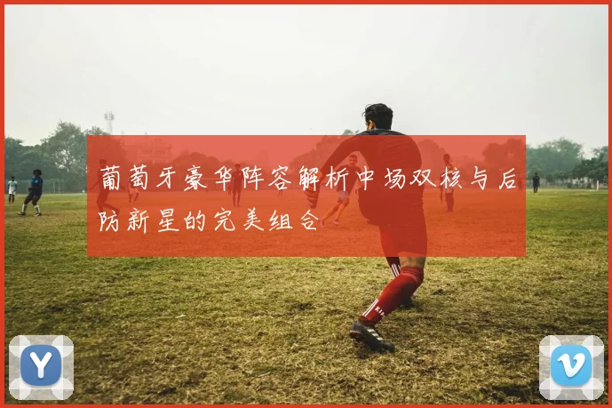 葡萄牙豪华阵容解析中场双核与后防新星的完美组合