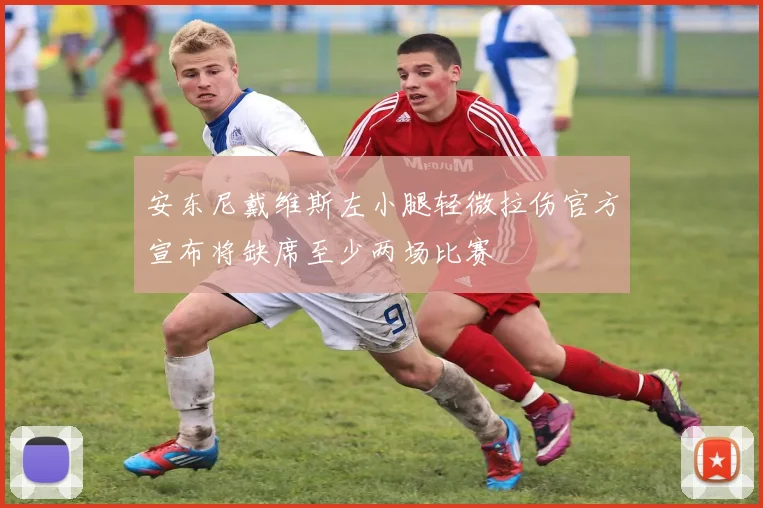 安东尼戴维斯左小腿轻微拉伤官方宣布将缺席至少两场比赛