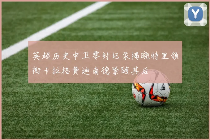 英超历史中卫零封记录揭晓特里领衔卡拉格费迪南德紧随其后