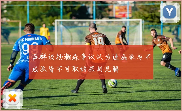 苏群谈杨瀚森争议认为速成派与不成派皆不可取的深刻见解